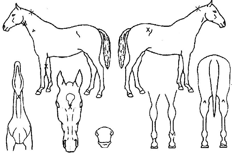 ť����۷��� ����,���,�޸�,�λ�,�ٸ��� Ư¡����