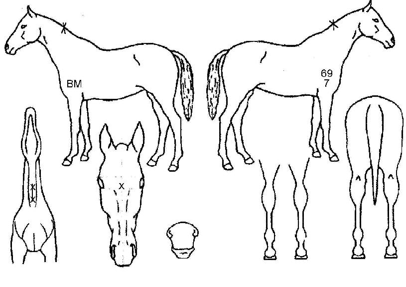 ��Ŀ��������� ����,���,�޸�,�λ�,�ٸ��� Ư¡����