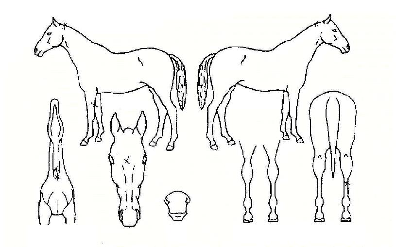 �ݵ忣���� ����,���,�޸�,�λ�,�ٸ��� Ư¡����