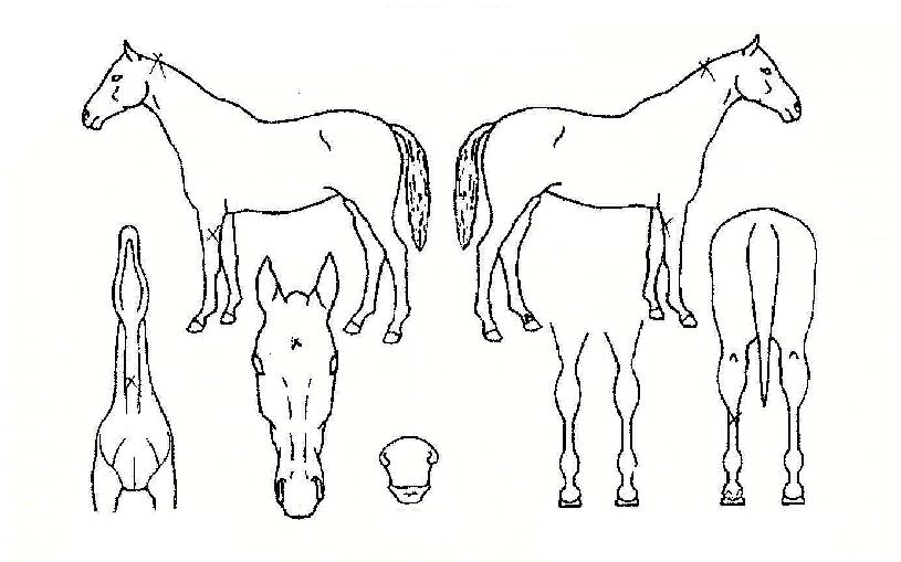 �ö��̽����� ����,���,�޸�,�λ�,�ٸ��� Ư¡����