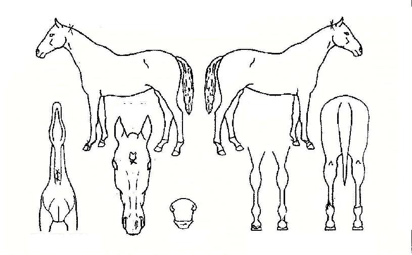 ���Ͻ������� ����,���,�޸�,�λ�,�ٸ��� Ư¡����