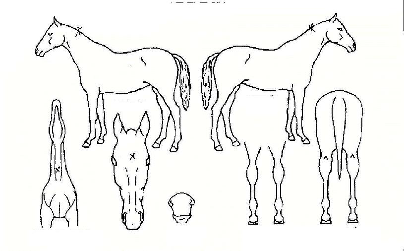 ��ȭ�����ΰ��� ����,���,�޸�,�λ�,�ٸ��� Ư¡����