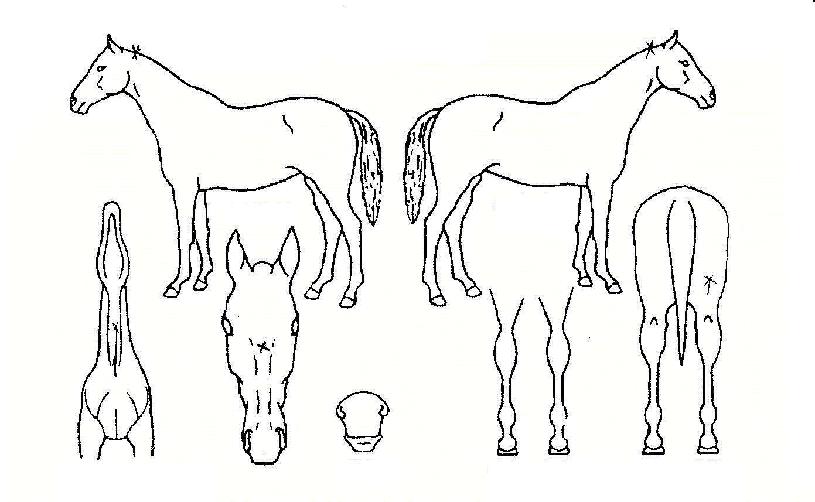 ���̽�������� ����,���,�޸�,�λ�,�ٸ��� Ư¡����