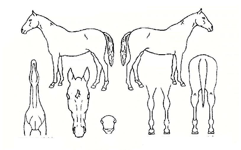 À§´ëÇѼº°øÀÇ Ãø¸é,¿ì¸é,µÞ¸é,µÎ»ó,´Ù¸®ÀÇ Æ¯Â¡µµÇØ