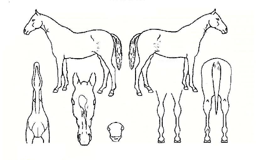 �Ϸ���ȭ�� ����,���,�޸�,�λ�,�ٸ��� Ư¡����