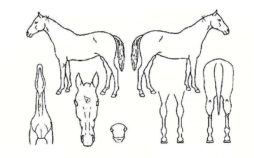 ȯ������ ����,���,�޸�,�λ�,�ٸ��� Ư¡����