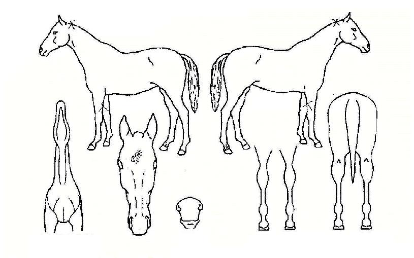 �����Ͽ��� ����,���,�޸�,�λ�,�ٸ��� Ư¡����