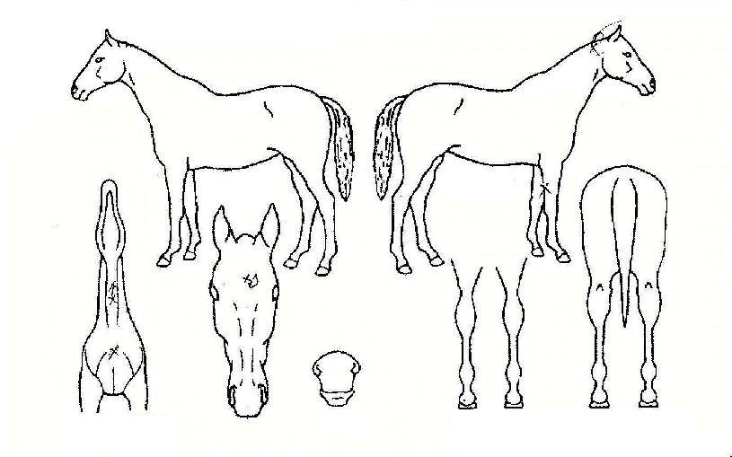 ���丮������ ����,���,�޸�,�λ�,�ٸ��� Ư¡����