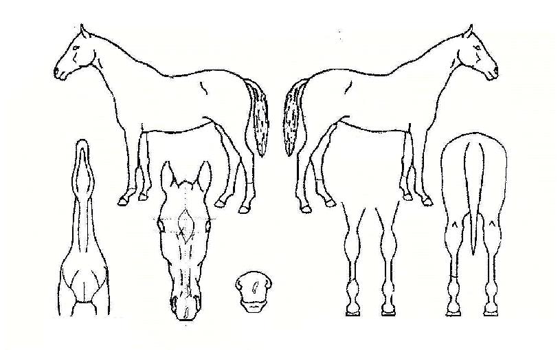 Ȩ�������� ����,���,�޸�,�λ�,�ٸ��� Ư¡����