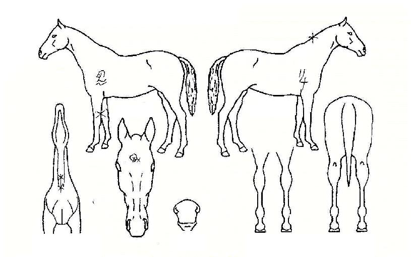 �������� ����,���,�޸�,�λ�,�ٸ��� Ư¡����