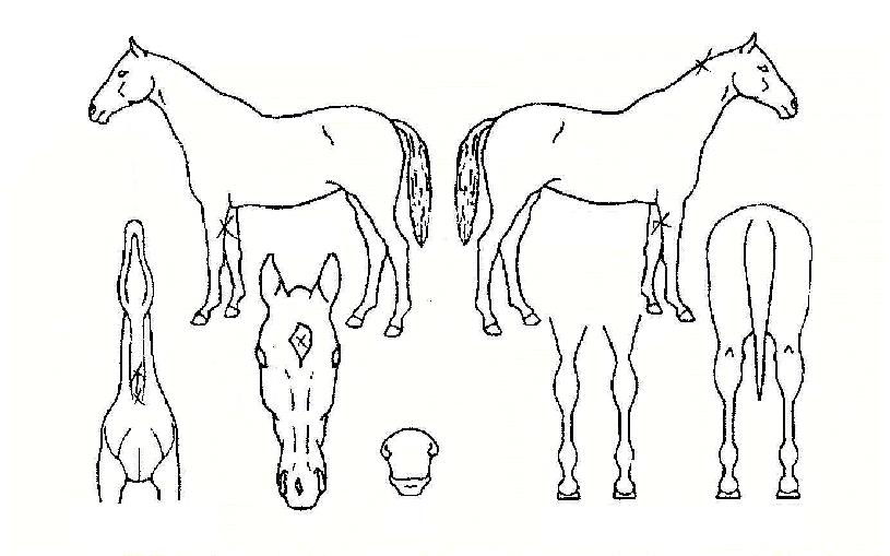 ť�ǵ幮�� ����,���,�޸�,�λ�,�ٸ��� Ư¡����