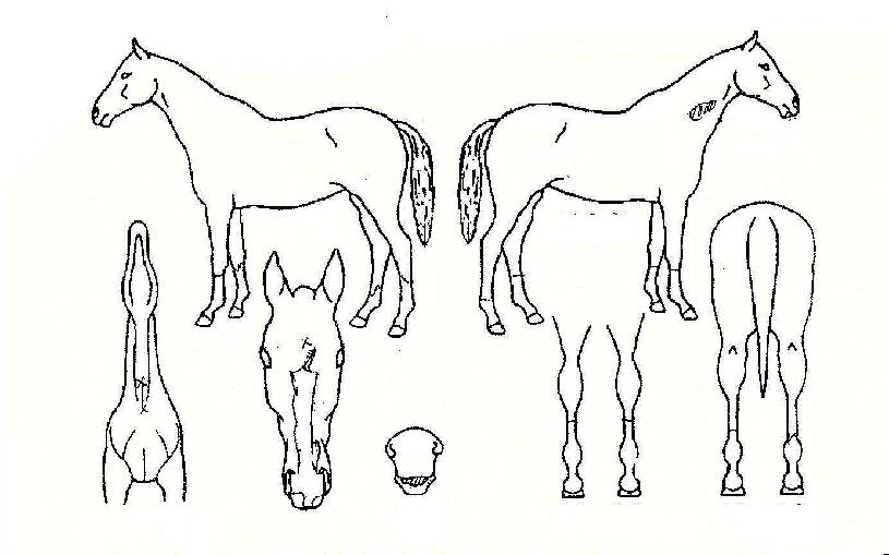 �극���Ϸ��̵��ڸ��� ����,���,�޸�,�λ�,�ٸ��� Ư¡����