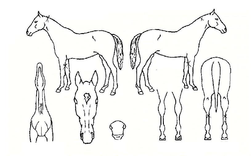 ��ǳ������ ����,���,�޸�,�λ�,�ٸ��� Ư¡����