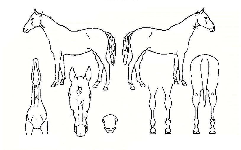 ����ȭ���� ����,���,�޸�,�λ�,�ٸ��� Ư¡����