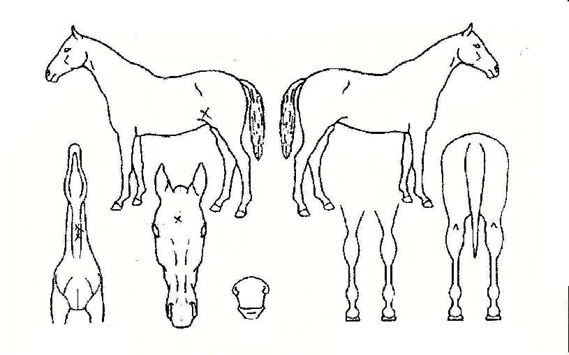 ���������� ����,���,�޸�,�λ�,�ٸ��� Ư¡����