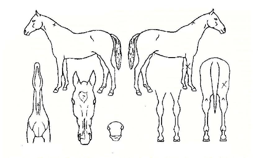 �ռ����� ����,���,�޸�,�λ�,�ٸ��� Ư¡����