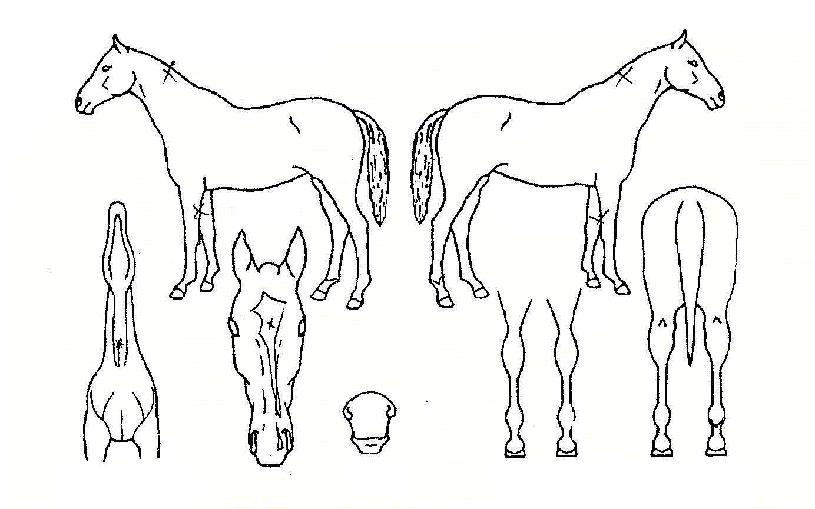 ���̽�����ڸ��� ����,���,�޸�,�λ�,�ٸ��� Ư¡����