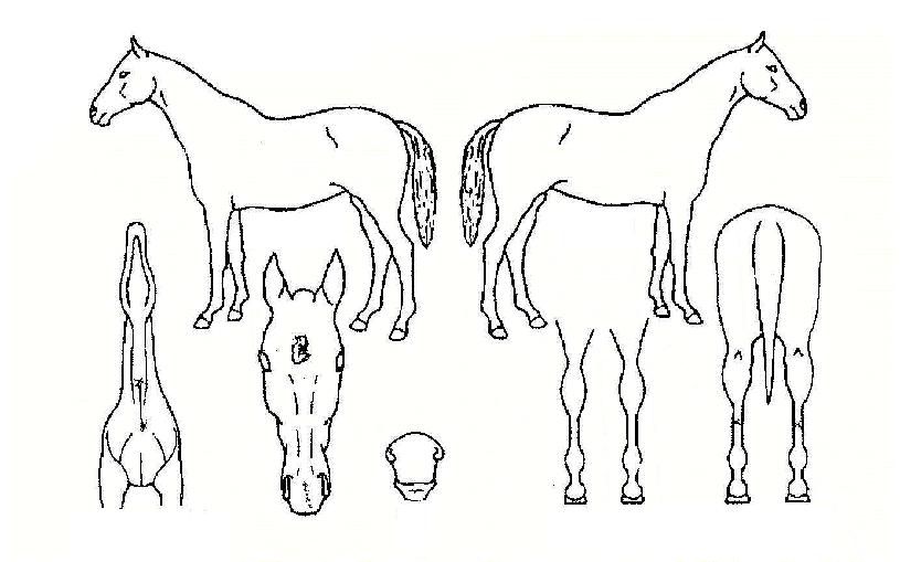 ��Ƽ������ ����,���,�޸�,�λ�,�ٸ��� Ư¡����