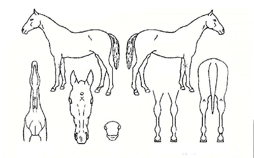 ���â���� ����,���,�޸�,�λ�,�ٸ��� Ư¡����