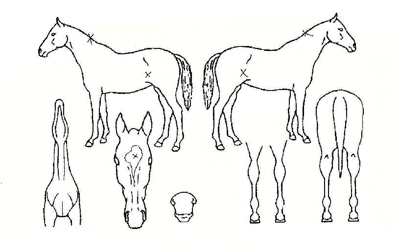 �����̽��� ����,���,�޸�,�λ�,�ٸ��� Ư¡����