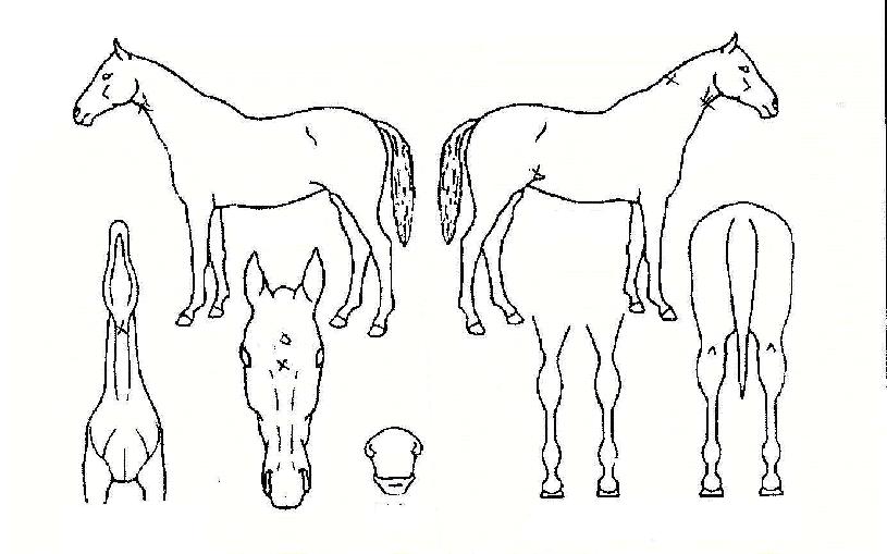 ���������� ����,���,�޸�,�λ�,�ٸ��� Ư¡����