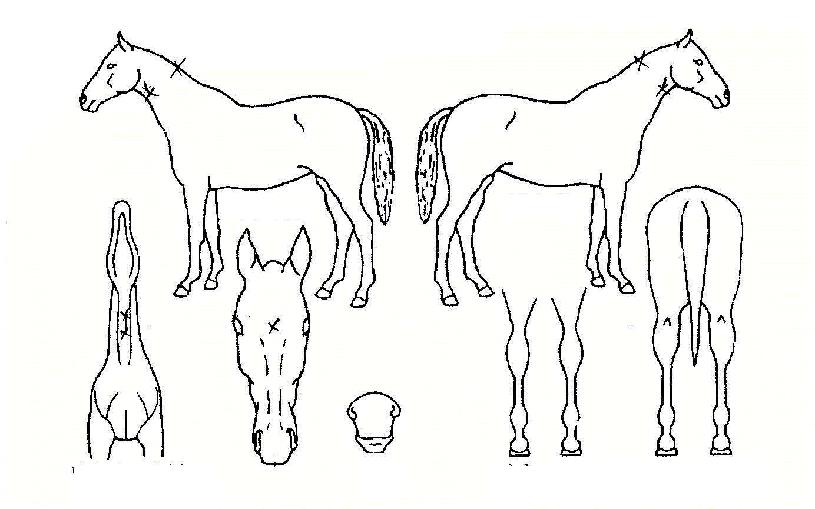 ��Ű������ ����,���,�޸�,�λ�,�ٸ��� Ư¡����