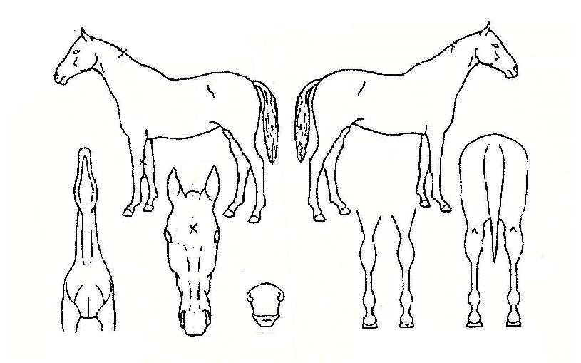 ºÎ»êº¸¹°ÀÇ Ãø¸é,¿ì¸é,µÞ¸é,µÎ»ó,´Ù¸®ÀÇ Æ¯Â¡µµÇØ