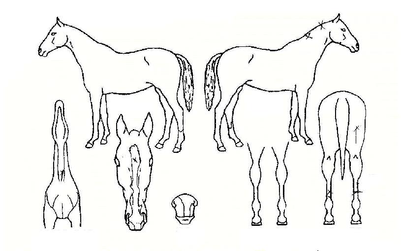 ȭ���ѽ�ȭ�� ����,���,�޸�,�λ�,�ٸ��� Ư¡����