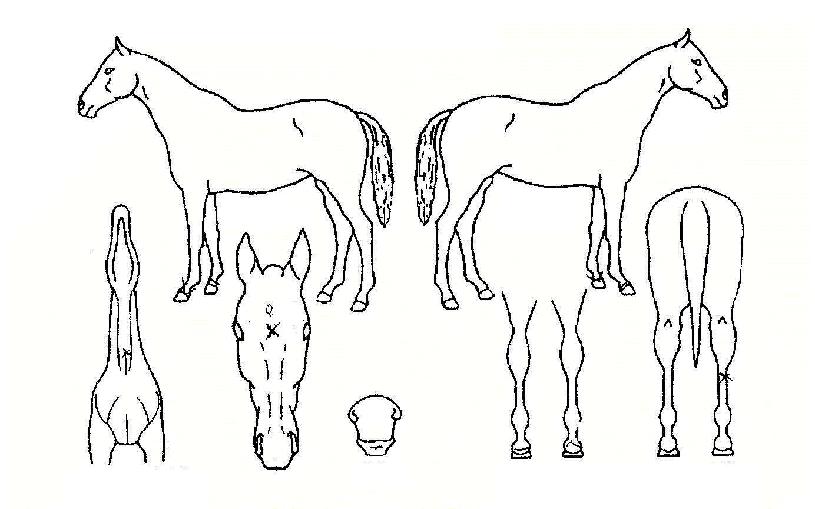 ����޽����� ����,���,�޸�,�λ�,�ٸ��� Ư¡����