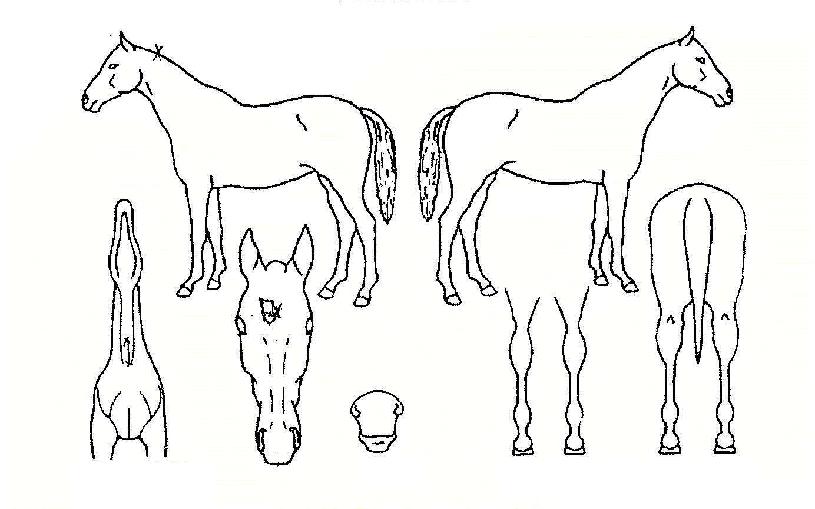 ¼º°ø°¡µµÀÇ Ãø¸é,¿ì¸é,µÞ¸é,µÎ»ó,´Ù¸®ÀÇ Æ¯Â¡µµÇØ