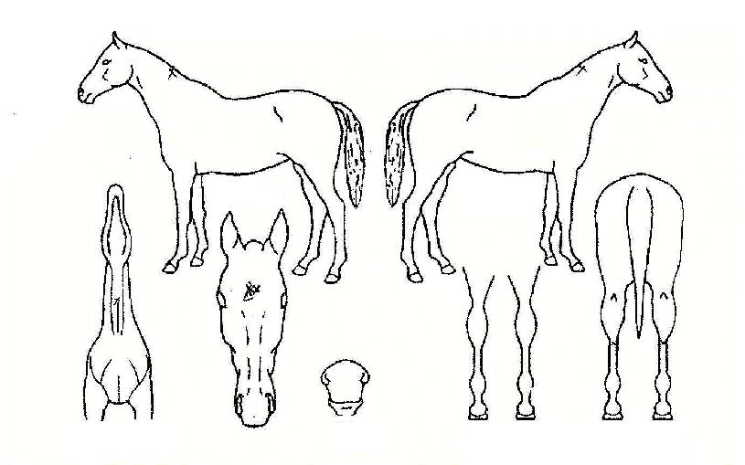 ������ȭ�� ����,���,�޸�,�λ�,�ٸ��� Ư¡����