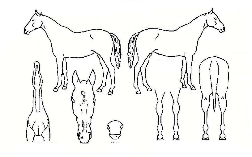 ǳ���뵵�� ����,���,�޸�,�λ�,�ٸ��� Ư¡����