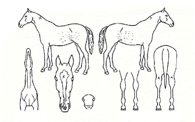 ȯ������ ����,���,�޸�,�λ�,�ٸ��� Ư¡����