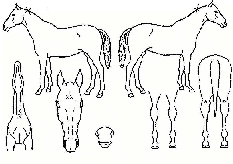 µ¥ÀÌ¡ÀÇ Ãø¸é,¿ì¸é,µÞ¸é,µÎ»ó,´Ù¸®ÀÇ Æ¯Â¡µµÇØ