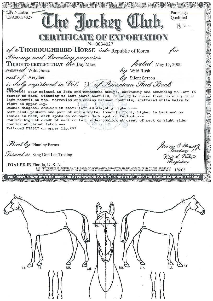 ���ϵ�Խ��� ����,���,�޸�,�λ�,�ٸ��� Ư¡����