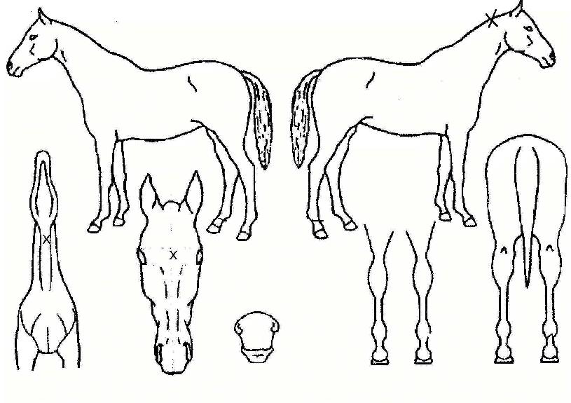 ��Ű������� ����,���,�޸�,�λ�,�ٸ��� Ư¡����