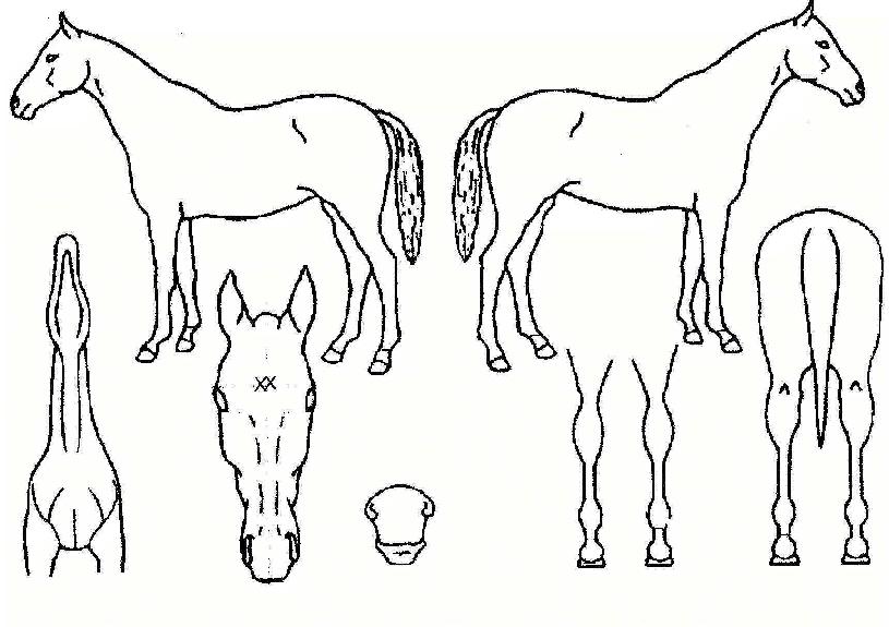 �̺�Ű���̸����� ����,���,�޸�,�λ�,�ٸ��� Ư¡����