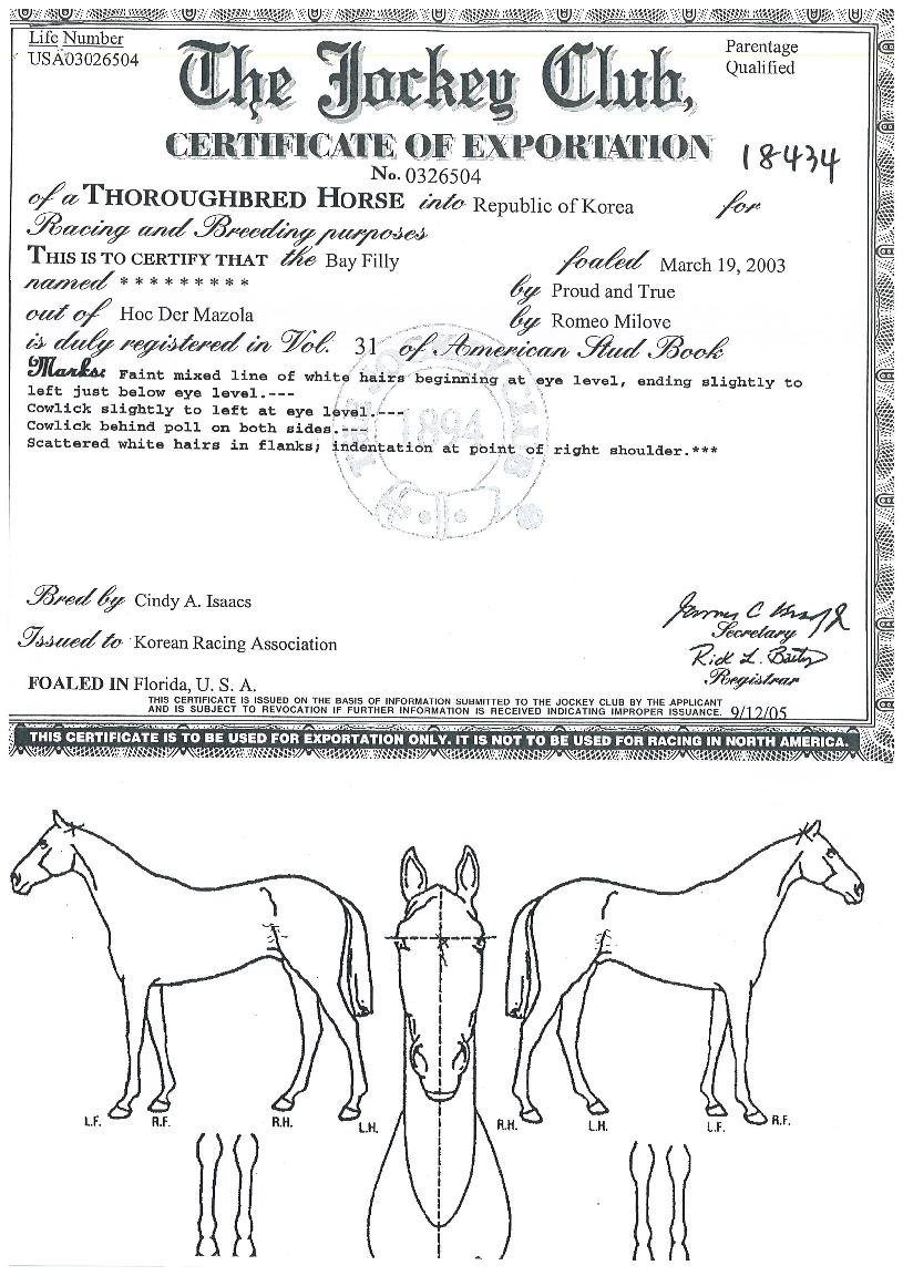 °íÄ¡·ÉÀÇ Ãø¸é,¿ì¸é,µÞ¸é,µÎ»ó,´Ù¸®ÀÇ Æ¯Â¡µµÇØ