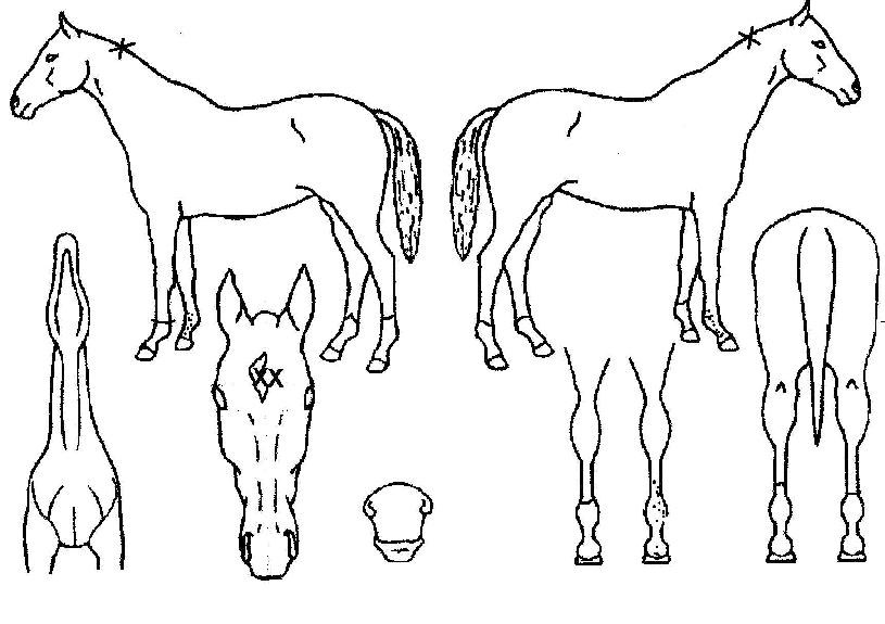 ĳƼ���ʽ������� ����,���,�޸�,�λ�,�ٸ��� Ư¡����