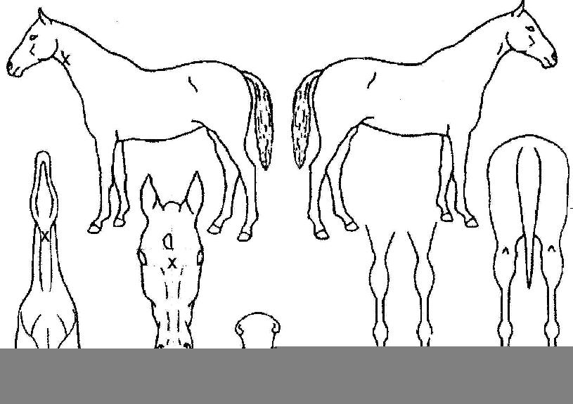 �ƿ������������� ����,���,�޸�,�λ�,�ٸ��� Ư¡����