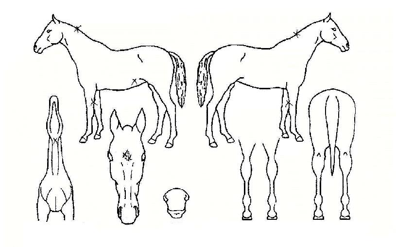 ����Ʈ������ ����,���,�޸�,�λ�,�ٸ��� Ư¡����