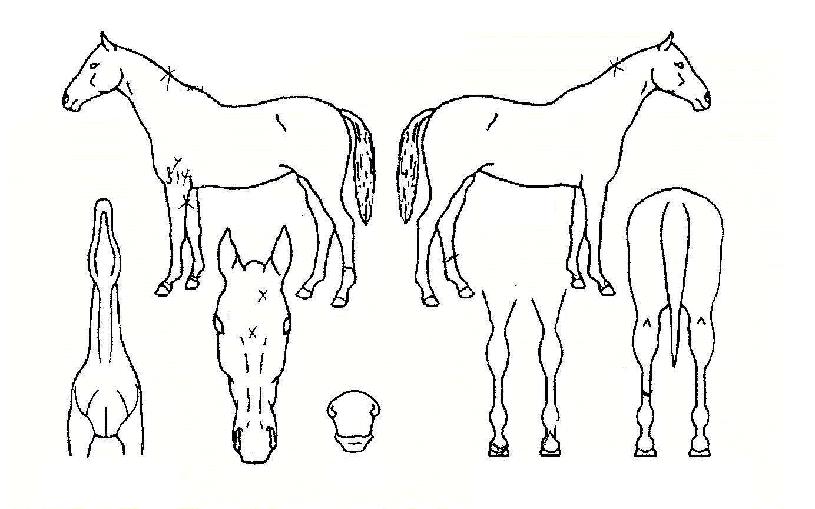 ���̺���Ƽ�� ����,���,�޸�,�λ�,�ٸ��� Ư¡����