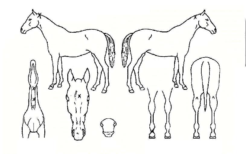 ���̽��� ����,���,�޸�,�λ�,�ٸ��� Ư¡����