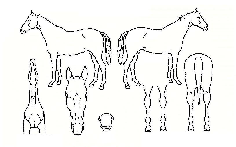 ����ó���� ����,���,�޸�,�λ�,�ٸ��� Ư¡����