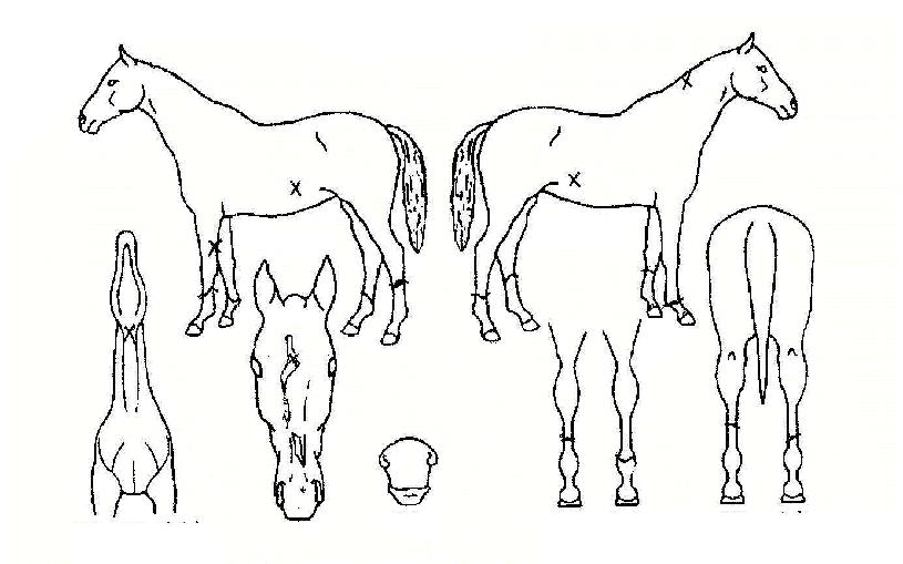 �������� ����,���,�޸�,�λ�,�ٸ��� Ư¡����