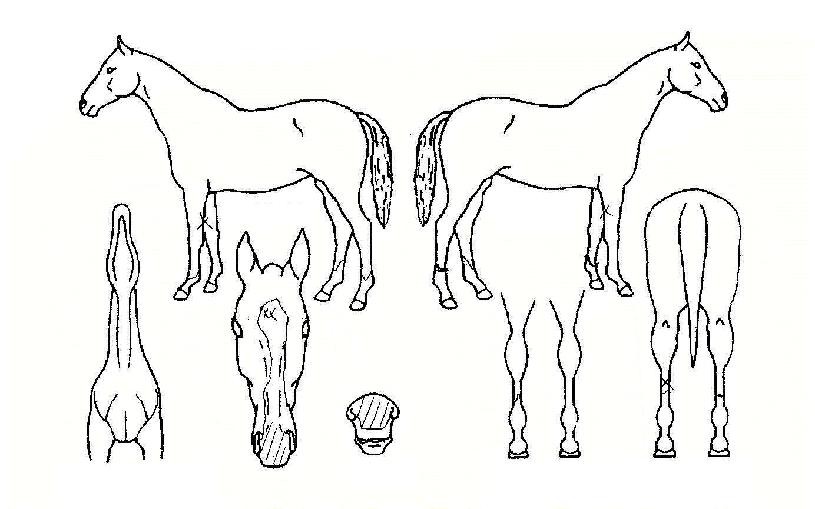 ��Ʈ������ ����,���,�޸�,�λ�,�ٸ��� Ư¡����