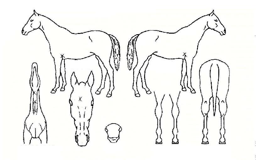 ���Ϳ����� ����,���,�޸�,�λ�,�ٸ��� Ư¡����