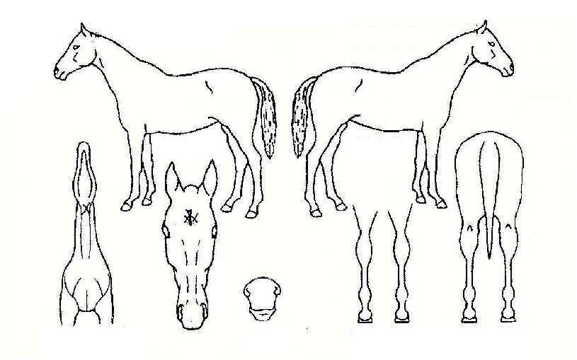 �̽�������� ����,���,�޸�,�λ�,�ٸ��� Ư¡����