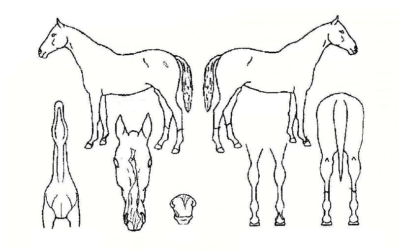 ���繮�� ����,���,�޸�,�λ�,�ٸ��� Ư¡����