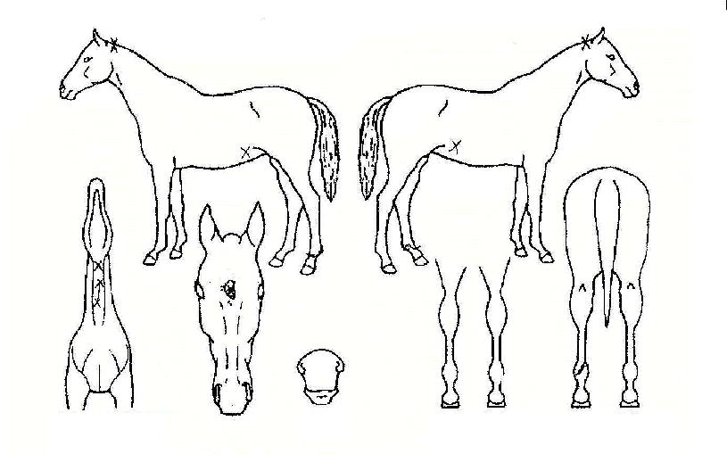 ��õ���� ����,���,�޸�,�λ�,�ٸ��� Ư¡����